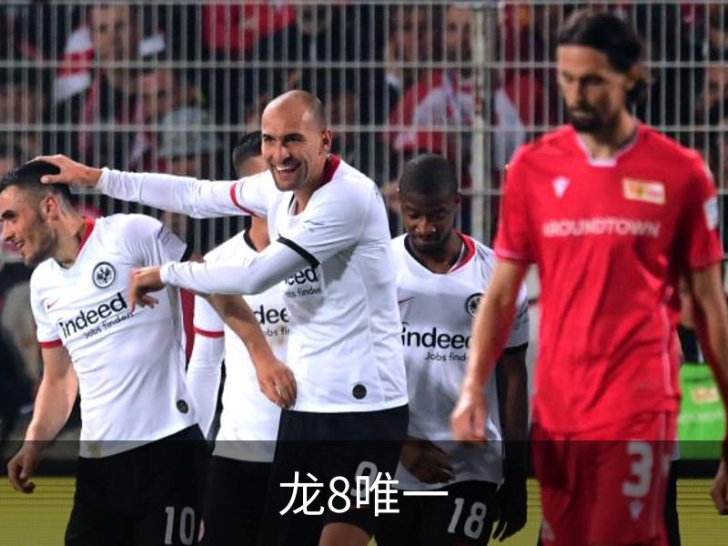 了解龙8唯一